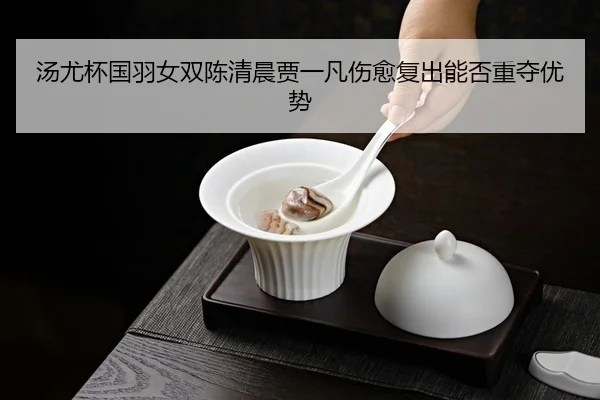 汤尤杯国羽女双陈清晨贾一凡伤愈复出能否重夺优势